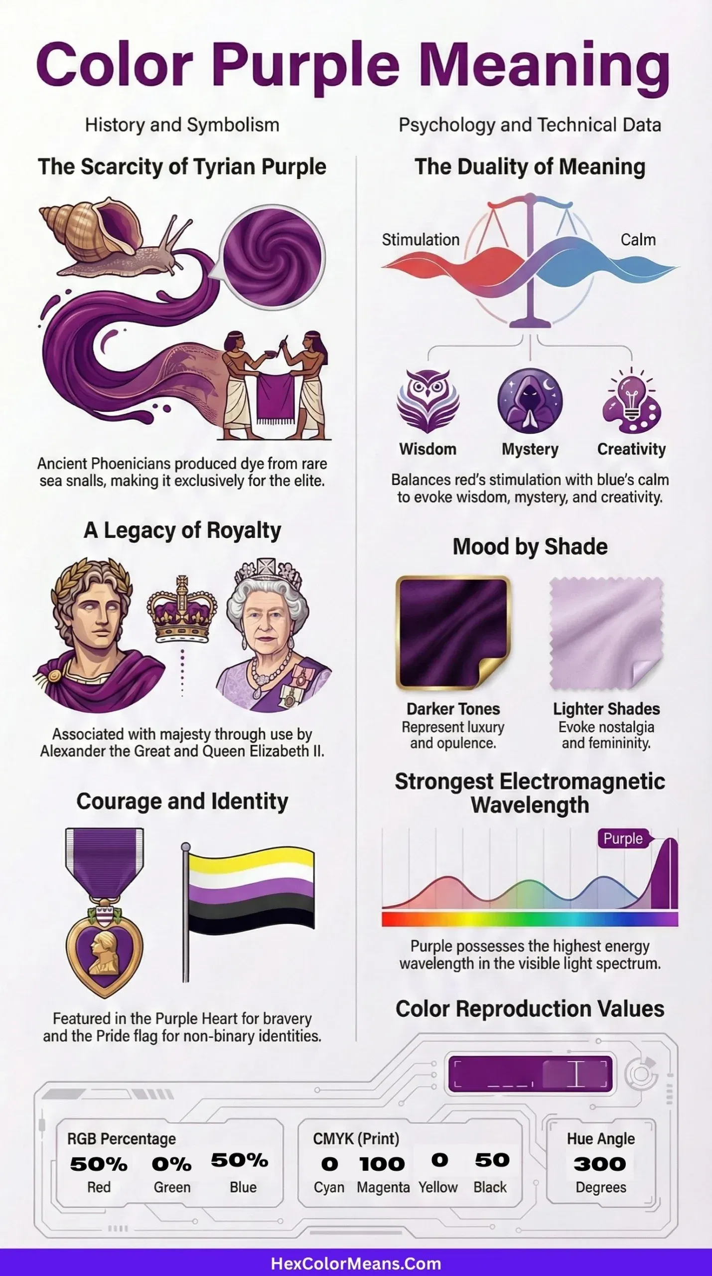 infographic showing color purple meaning in different aspects, along with hex, rgb, cmyk values