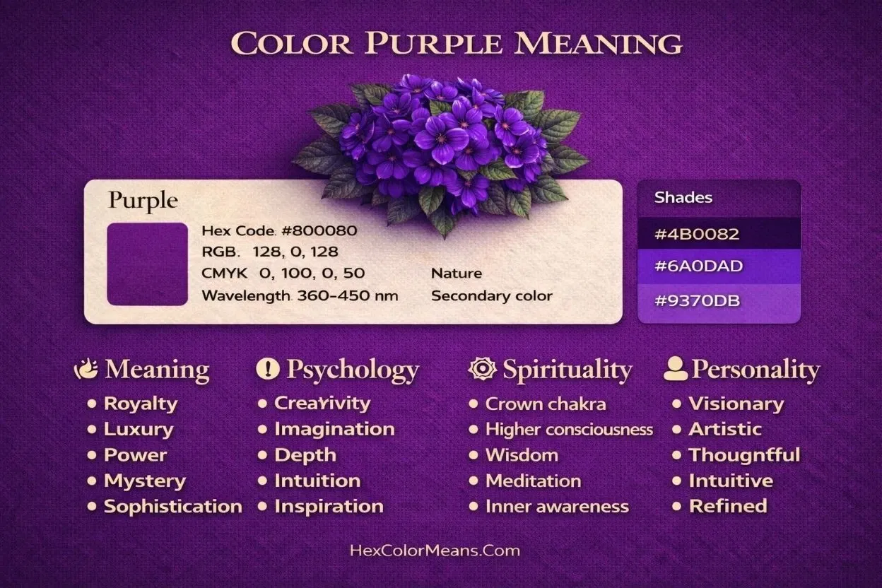infographic showing meaning of color purple in psychology, spirituality, and color codes