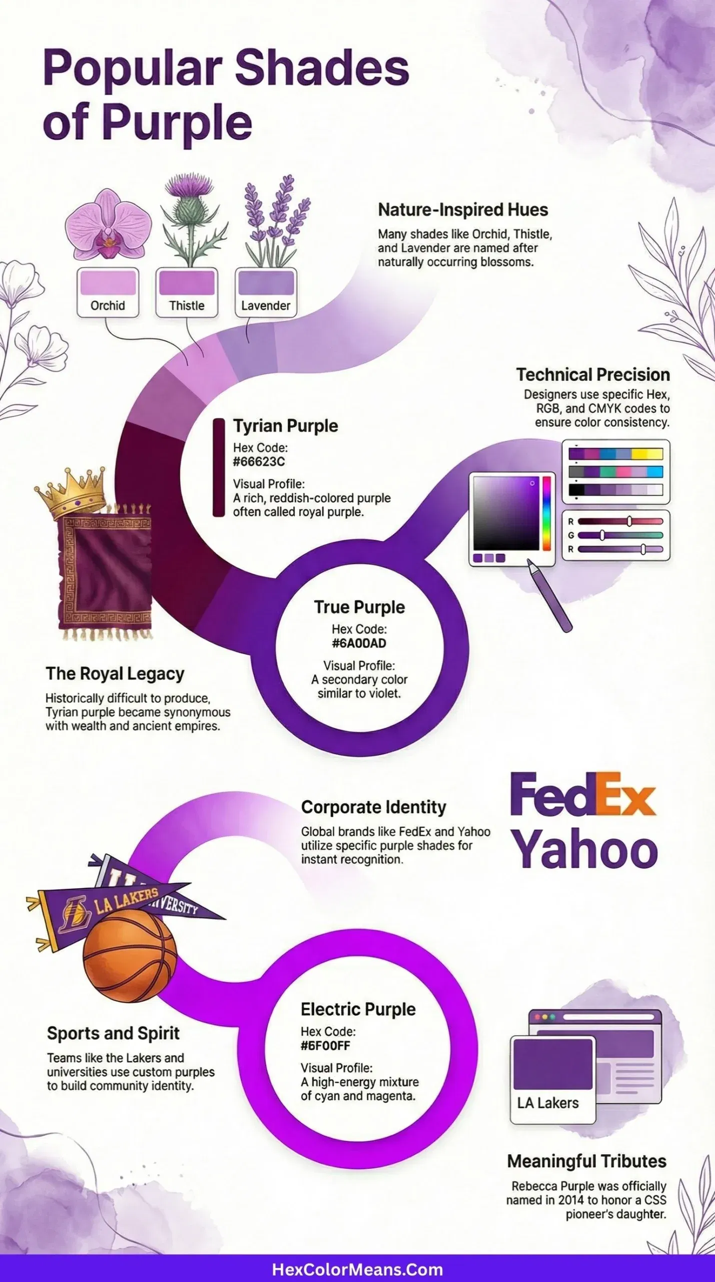 infographic showing popular shades of purple color
