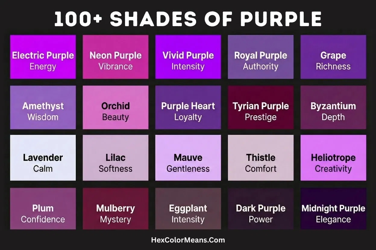 more than 100 popular shades of purple color