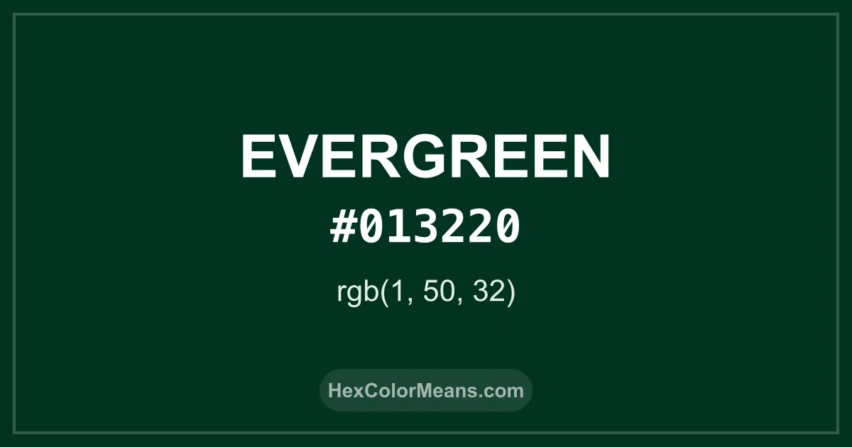 Clear image showing Evergreen color swatch with hex value #013220 and RGB value (1,50,32)