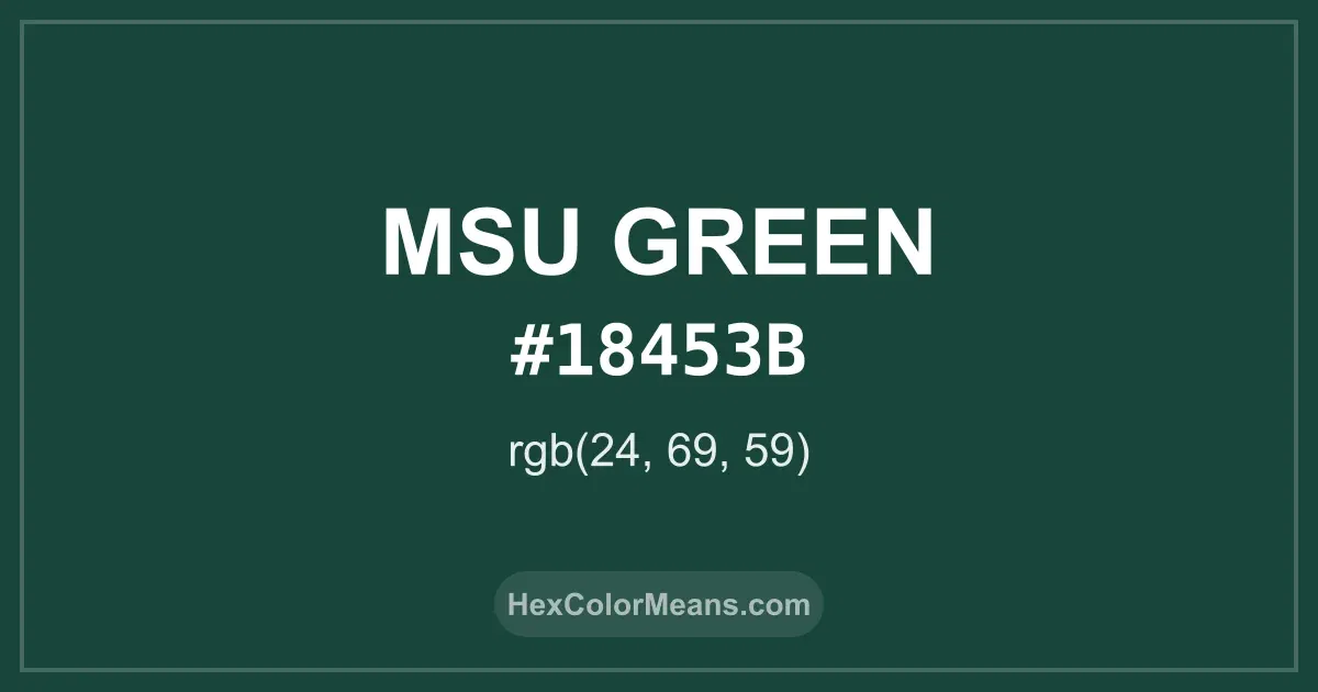 Clear image showing MSU Green color swatch with hex value #18453B and RGB value (24,69,59)