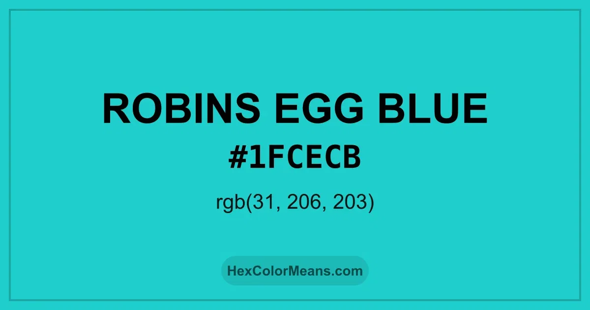 Clear image showing Robins Egg Blue color swatch with hex value #1FCECB and RGB value (31,206,203)