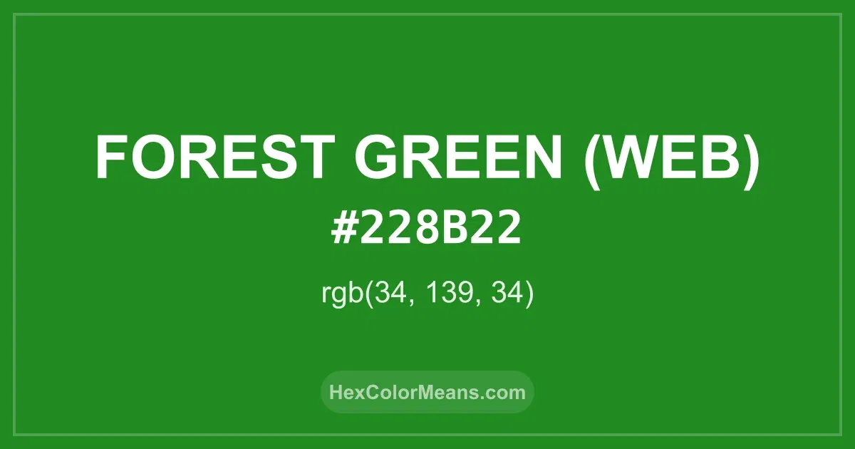 Clear image showing Forest Green (Web) color swatch with hex value #228B22 and RGB value (34,139,34)