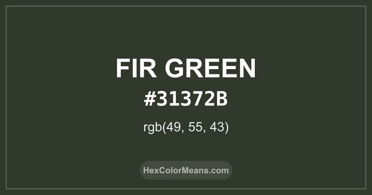 Clear image showing Fir Green color swatch with hex value #31372B and RGB value (49,55,43)