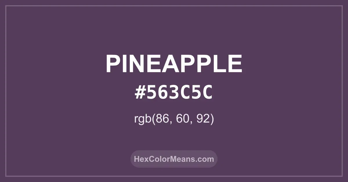 Clear image showing Pineapple color swatch with hex value #563C5C and RGB value (86,60,92)