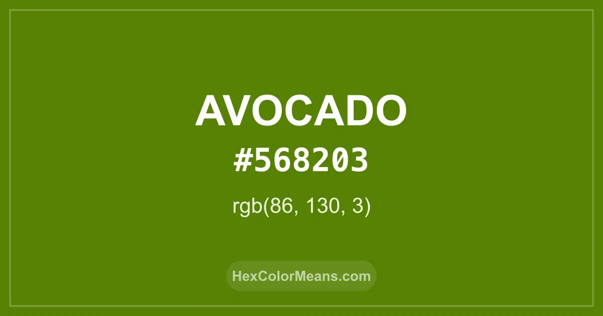 Clear image showing Avocado color swatch with hex value #568203 and RGB value (86,130,3)