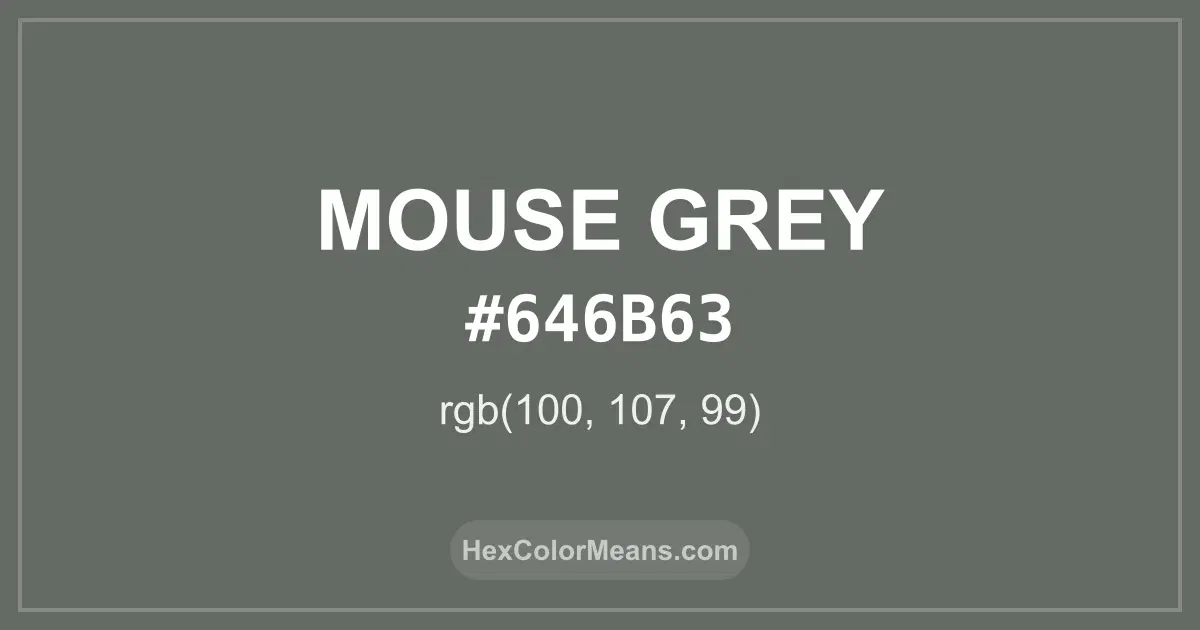 Clear image showing Mouse Grey color swatch with hex value #646B63 and RGB value (100,107,99)