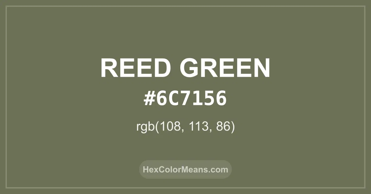 Clear image showing Reed Green color swatch with hex value #6C7156 and RGB value (108,113,86)