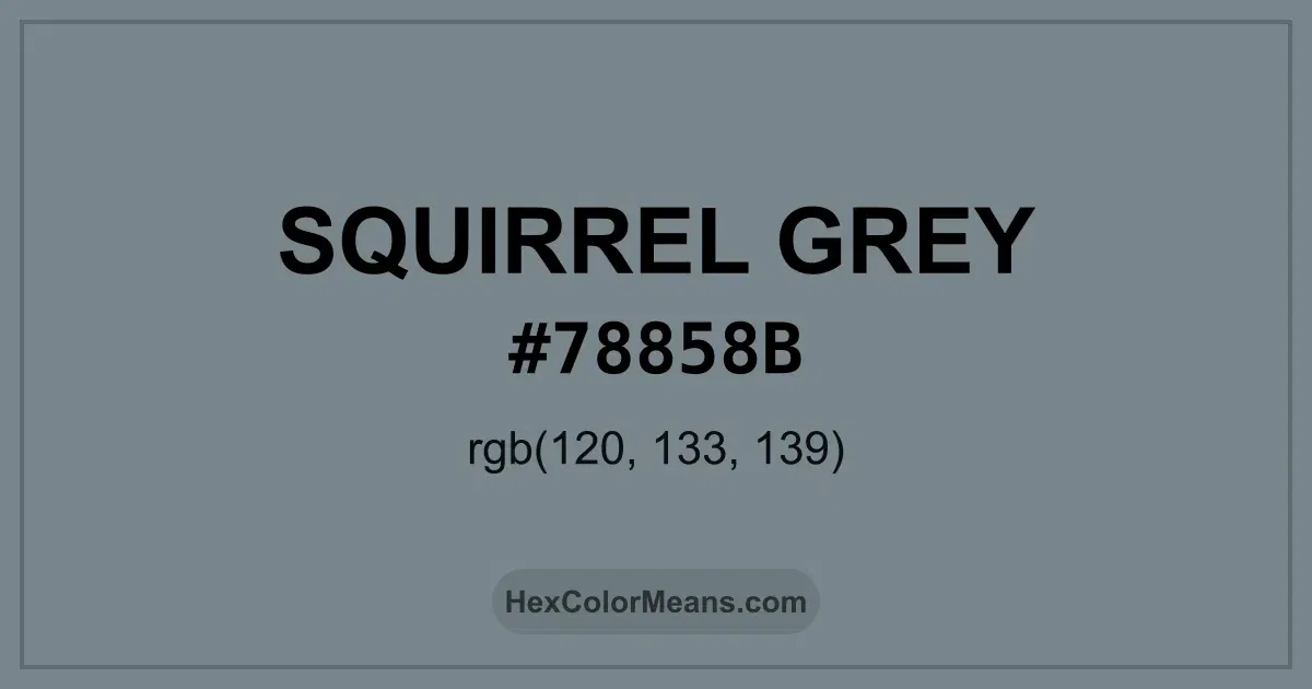 Clear image showing Squirrel Grey color swatch with hex value #78858B and RGB value (120,133,139)