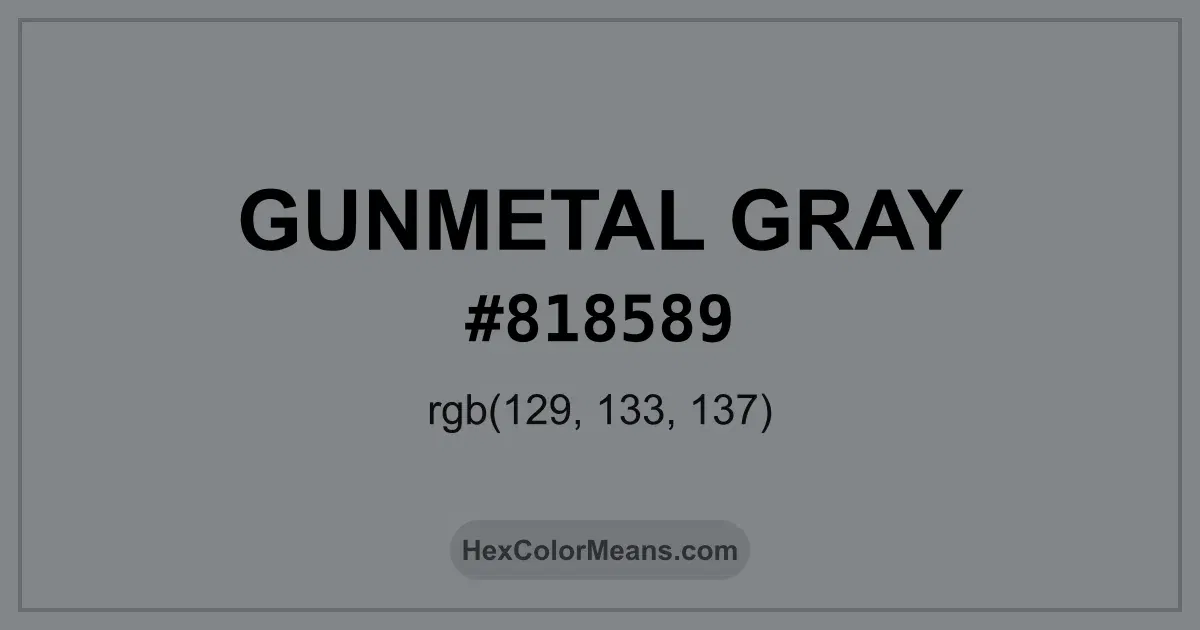 Clear image showing Gunmetal Gray color swatch with hex value #818589 and RGB value (129,133,137)