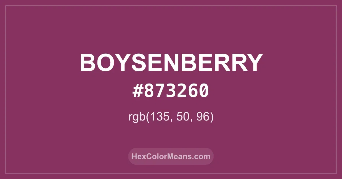 Clear image showing Boysenberry color swatch with hex value #873260 and RGB value (135,50,96)