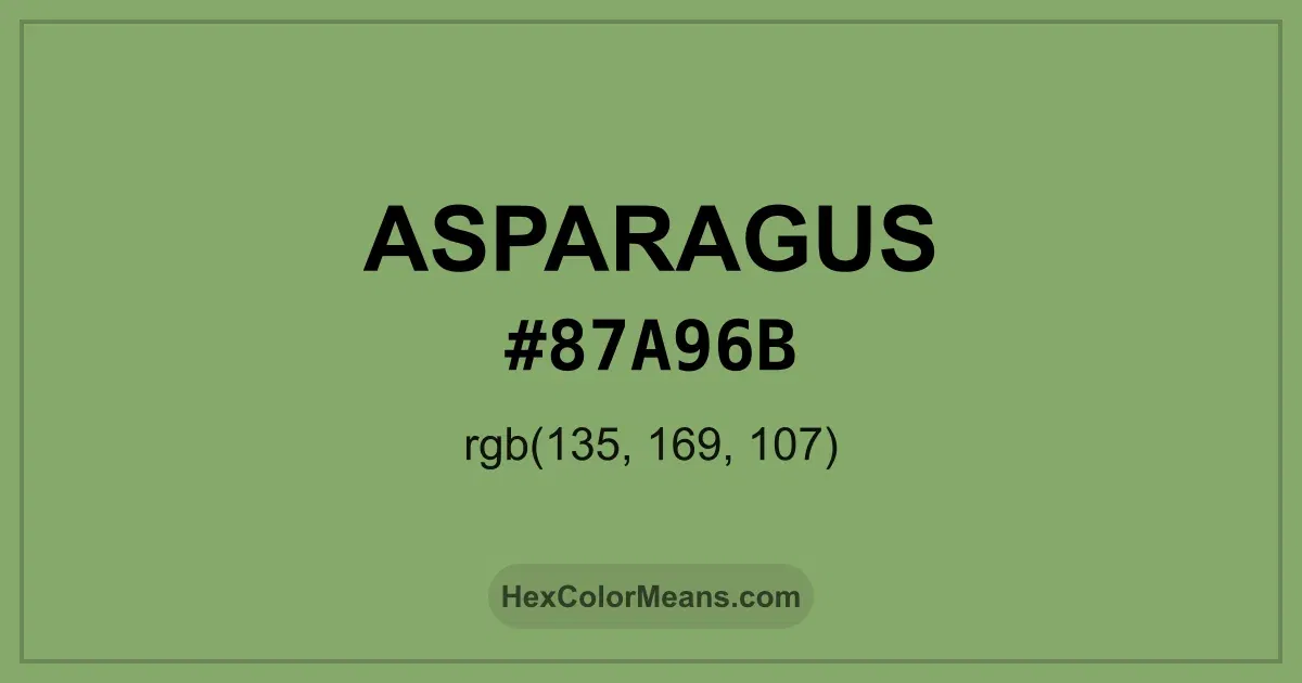 Clear image showing Asparagus color swatch with hex value #87A96B and RGB value (135,169,107)
