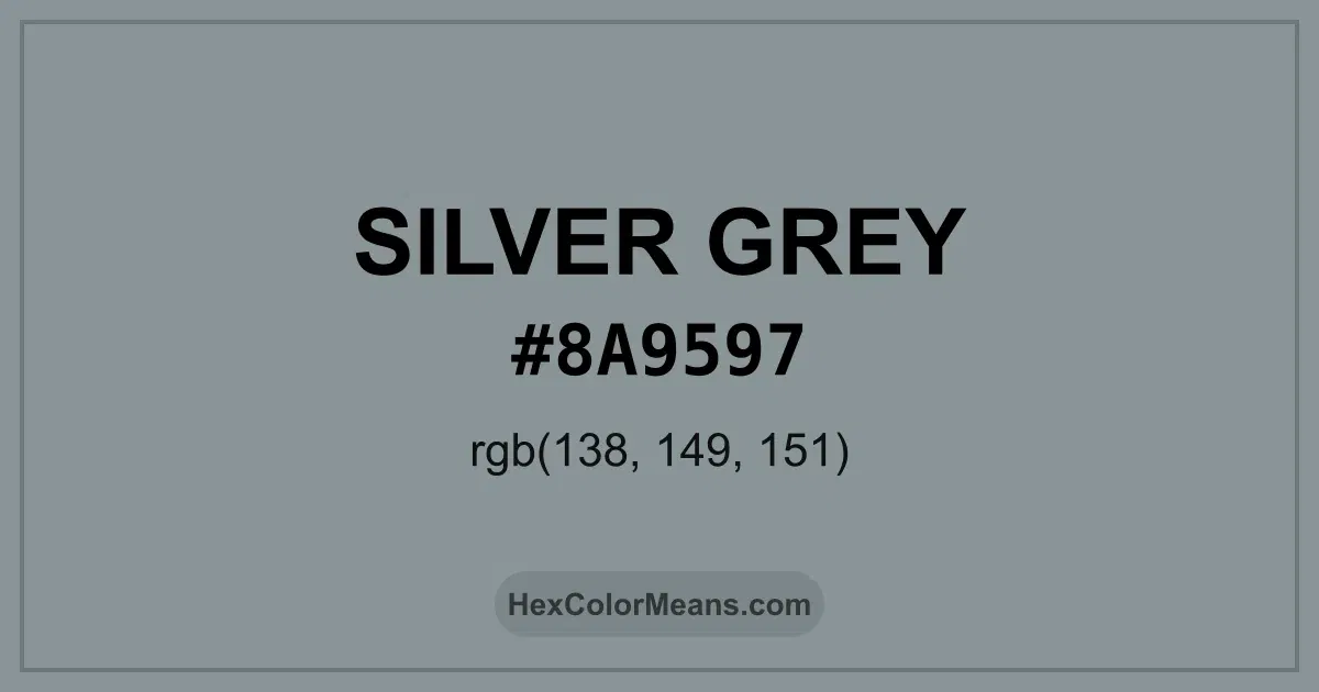 Clear image showing Silver Grey color swatch with hex value #8A9597 and RGB value (138,149,151)