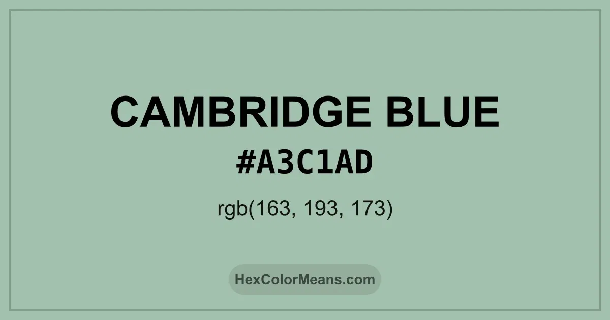 Clear image showing Cambridge Blue color swatch with hex value #A3C1AD and RGB value (163,193,173)