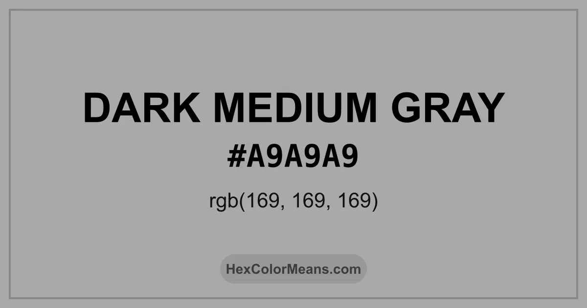 Clear image showing Dark Medium Gray color swatch with hex value #A9A9A9 and RGB value (169,169,169)