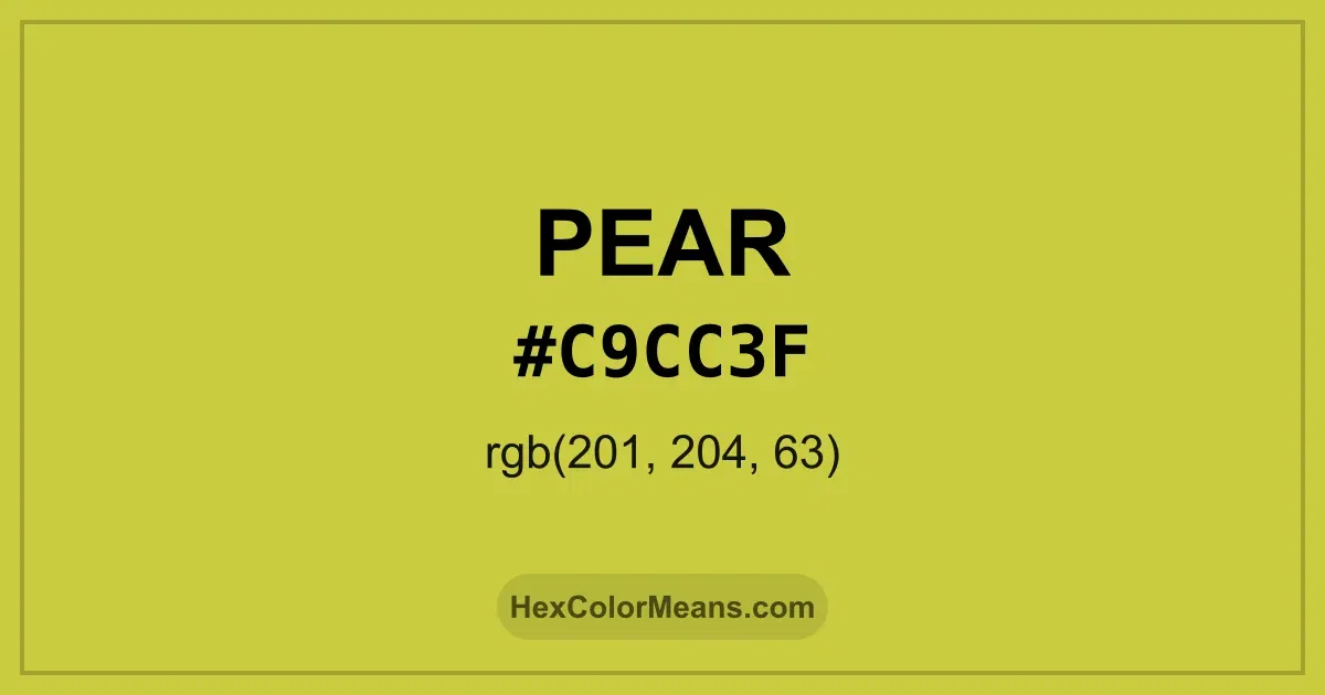 Clear image showing Pear color swatch with hex value #C9CC3F and RGB value (201,204,63)