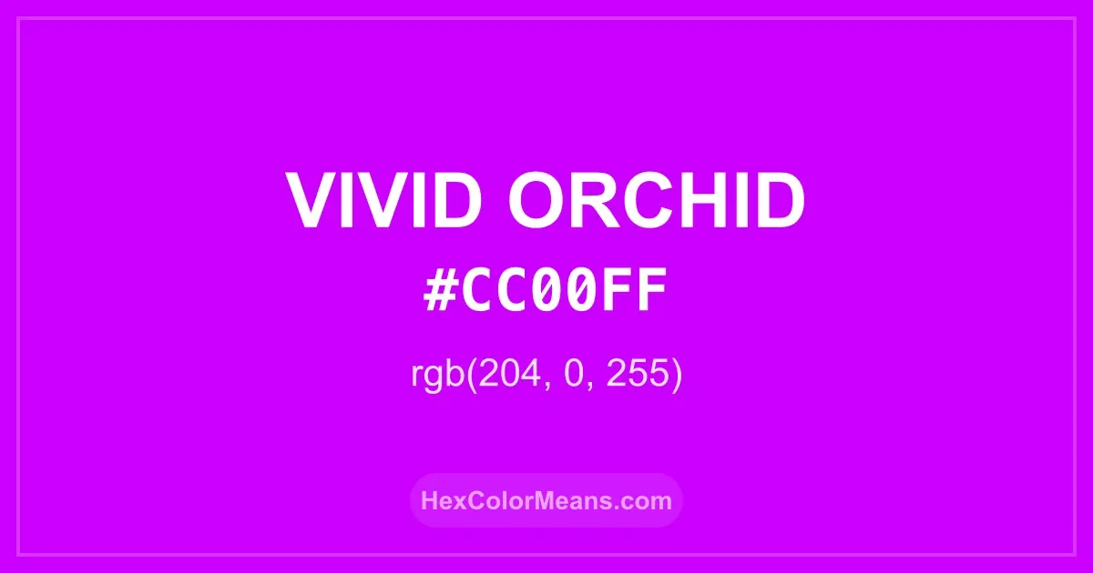 Clear image showing Vivid Orchid color swatch with hex value #CC00FF and RGB value (204,0,255)