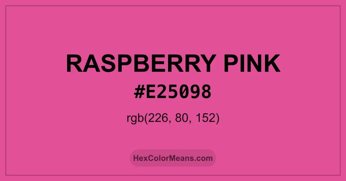 Clear image showing Raspberry Pink color swatch with hex value #E25098 and RGB value (226,80,152)