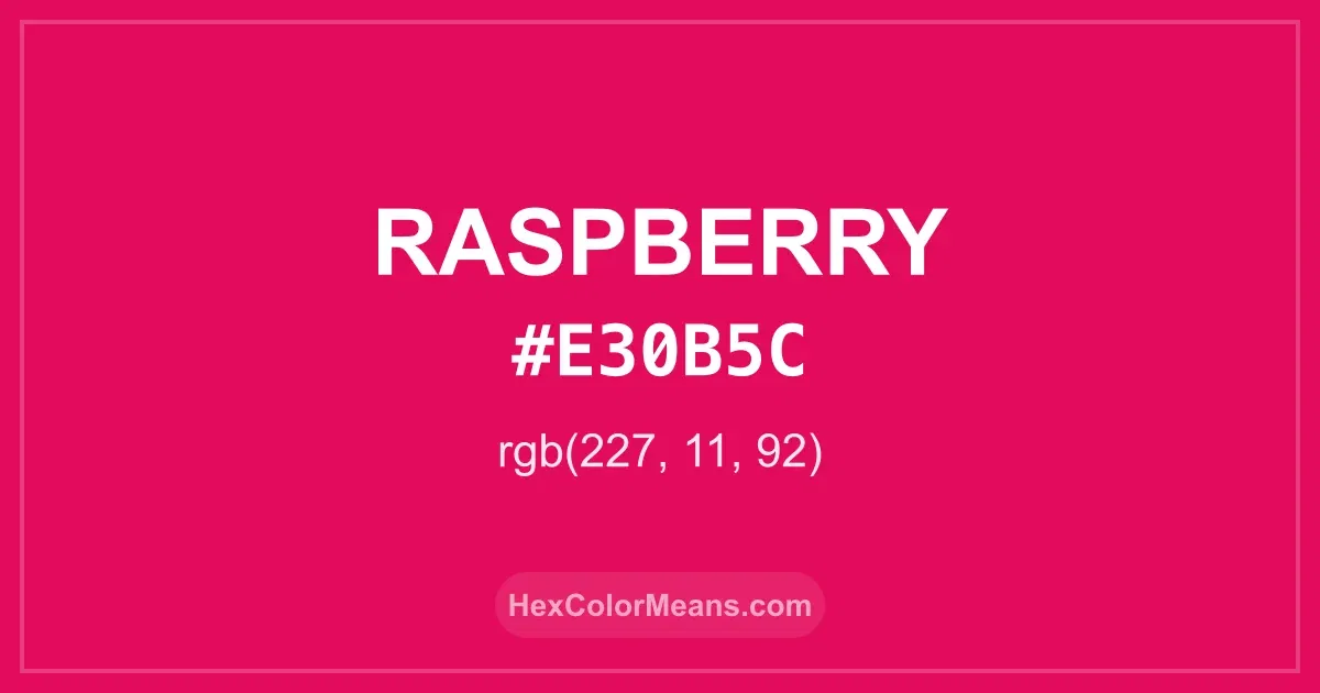 Clear image showing Raspberry color swatch with hex value #E30B5C and RGB value (227,11,92)