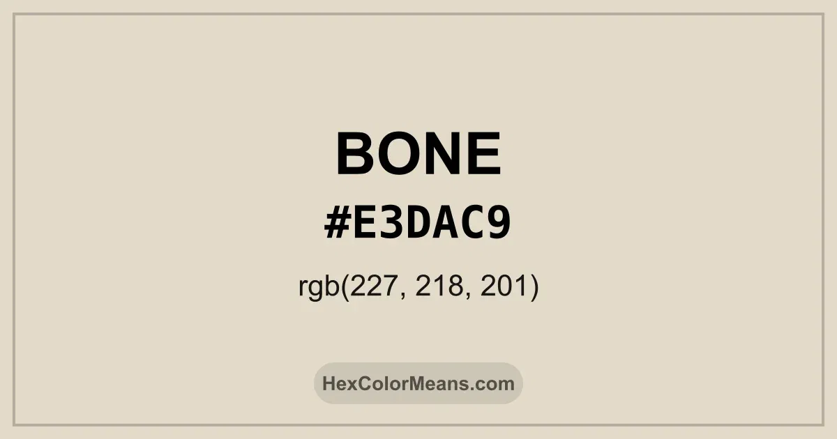 Clear image showing Bone color swatch with hex value #E3DAC9 and RGB value (227,218,201)